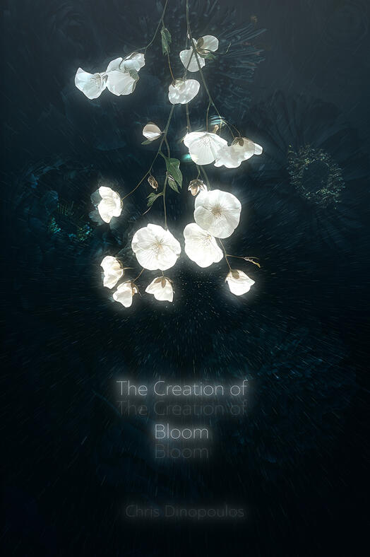 Creation Of Bloom